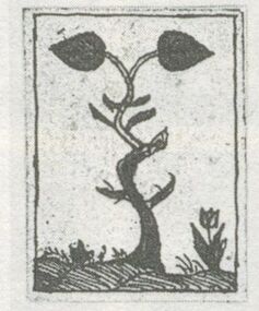 Leaves-Ace (German)