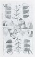 Thumbnail for version as of 15:41, 23 September 2026