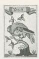 Thumbnail for version as of 15:16, 27 September 2026