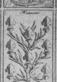 Thumbnail for version as of 00:40, 20 September 2026