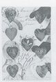 Thumbnail for version as of 17:06, 23 September 2026