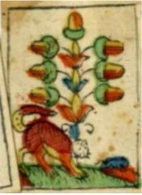 Acorns-7 (German)