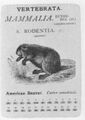 Thumbnail for version as of 09:56, 20 September 2026