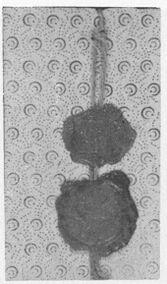 Single card