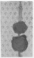 Thumbnail for version as of 18:14, 19 September 2026