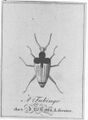 Thumbnail for version as of 03:55, 20 September 2026