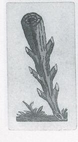 Batons-1 (Spanish)