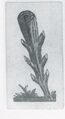 Thumbnail for version as of 15:13, 23 September 2026