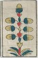 Thumbnail for version as of 08:30, 31 August 2026