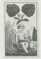 Thumbnail for version as of 17:06, 27 September 2026
