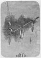 Thumbnail for version as of 09:51, 20 September 2026
