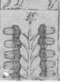 Thumbnail for version as of 05:04, 20 September 2026