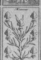 Thumbnail for version as of 00:40, 20 September 2026
