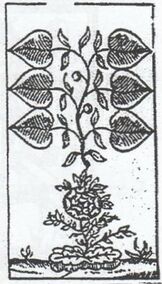 Leaves-6 (German)