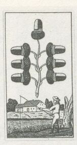 Acorns-7 (German)