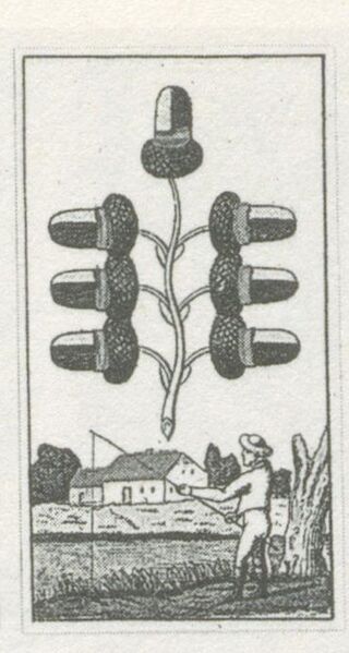 Datei:SPKW-Q29895-bnm-scan-s065r-z01s03-dt-eichel-7.jpg