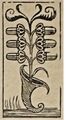 Thumbnail for version as of 08:46, 31 August 2026