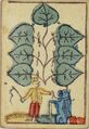 Thumbnail for version as of 08:29, 31 August 2026