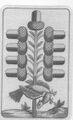Thumbnail for version as of 17:46, 19 September 2026