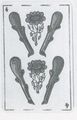 Thumbnail for version as of 14:59, 23 September 2026