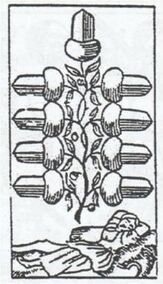 Acorns-9 (German)
