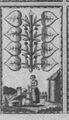 Thumbnail for version as of 05:23, 20 September 2026