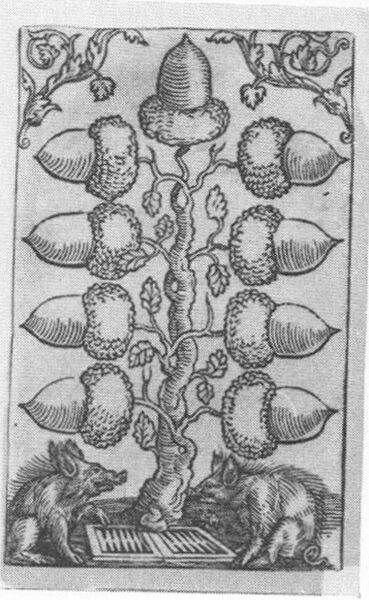 Datei:SPKW-Q15222-Cary Collection 3-page 0383-03-dt-eichel-9.jpg