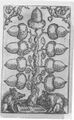 Thumbnail for version as of 04:12, 20 September 2026