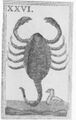 Thumbnail for version as of 06:53, 20 September 2026