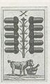 Thumbnail for version as of 17:06, 27 September 2026