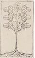 Thumbnail for version as of 08:29, 31 August 2026