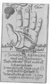 Acorns-Ober (German)