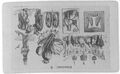 Thumbnail for version as of 03:00, 20 September 2026