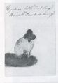 Thumbnail for version as of 17:06, 23 September 2026