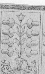 Acorns-8 (German)