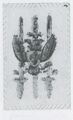 Thumbnail for version as of 15:14, 23 September 2026
