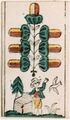 Thumbnail for version as of 08:33, 31 August 2026