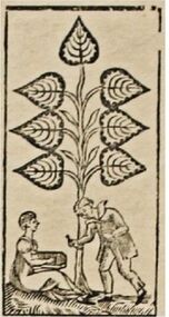 Leaves-7 (German)