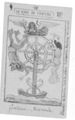 Thumbnail for version as of 22:48, 19 September 2026