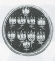 Thumbnail for version as of 09:12, 24 September 2026