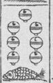 Thumbnail for version as of 20:10, 19 September 2026