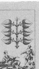 Leaves-6 (German)
