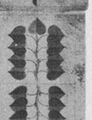 Thumbnail for version as of 05:17, 20 September 2026
