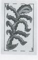Thumbnail for version as of 14:57, 23 September 2026