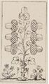 Thumbnail for version as of 08:29, 31 August 2026
