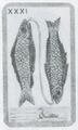 Thumbnail for version as of 16:44, 23 September 2026