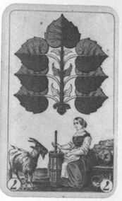 Leaves-7 (German)