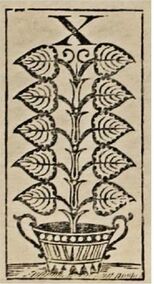 Leaves-10 (German)