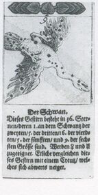 Leaves-9 (German)