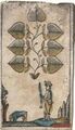 Thumbnail for version as of 08:46, 31 August 2026
